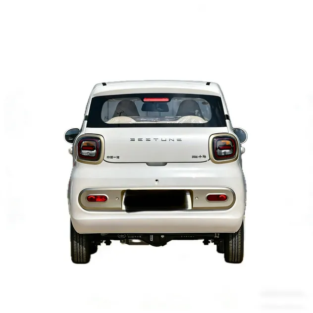 Bestune Pony Detail 5