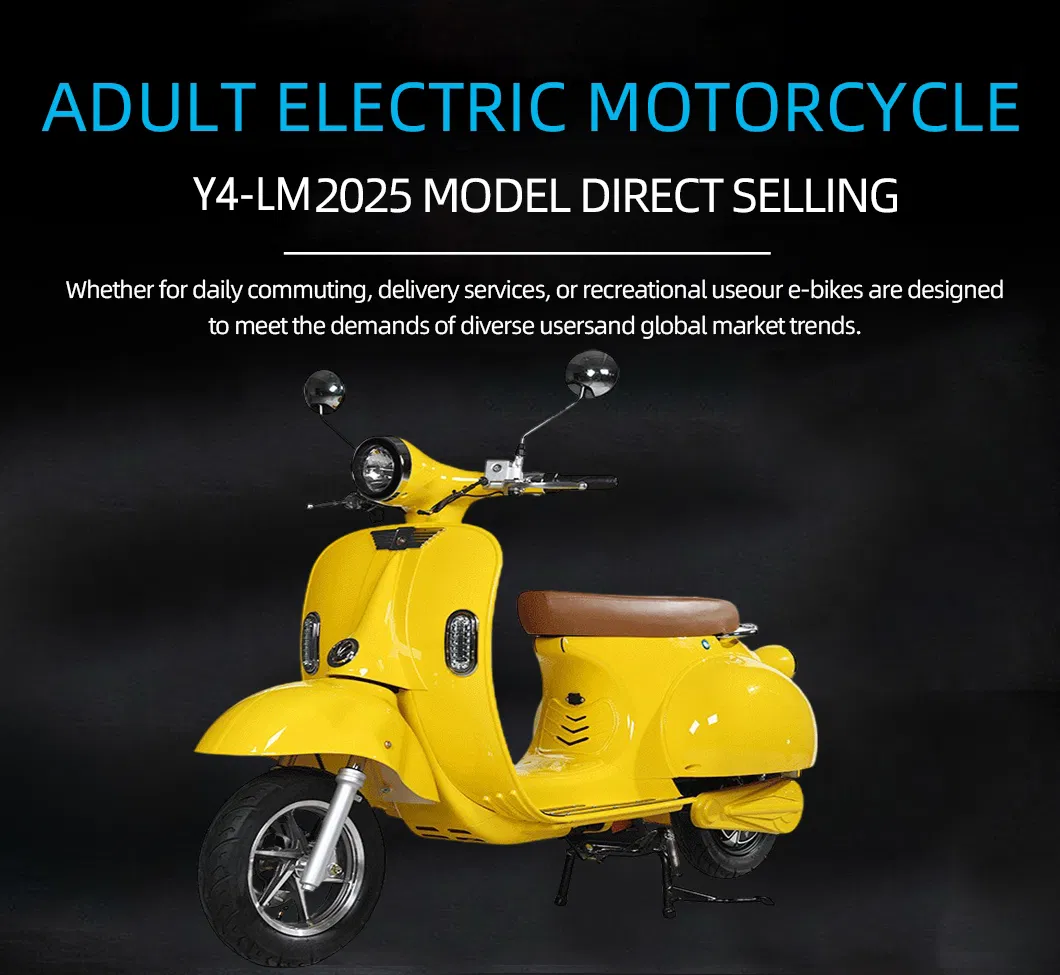 Electric Scooter Overview