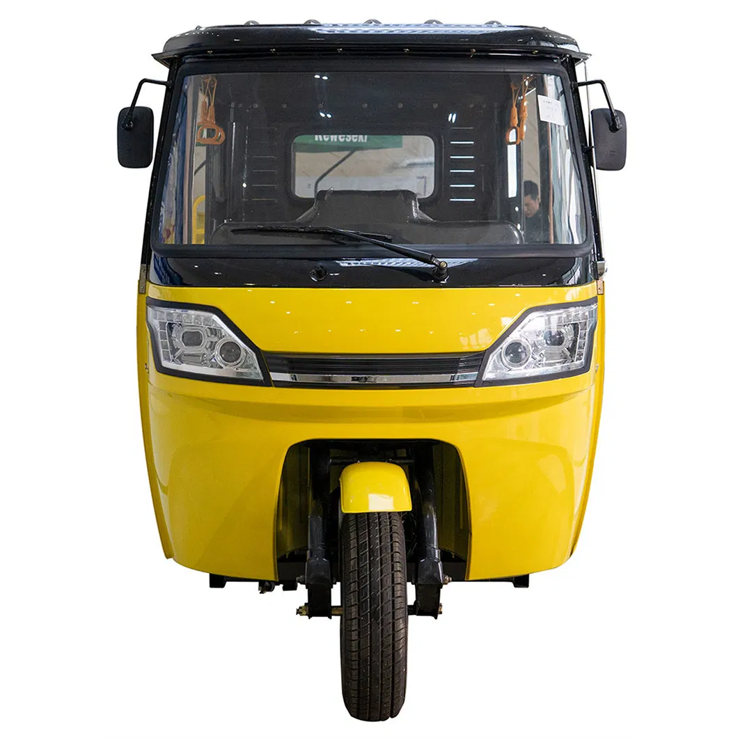 Two-Person Mode Family Minivan Electric Tricycle Motorcycle with Cabin