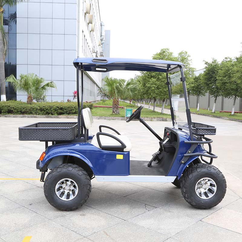 Affordable Electric off-Road 4X4 Utility Vehicle for Sale