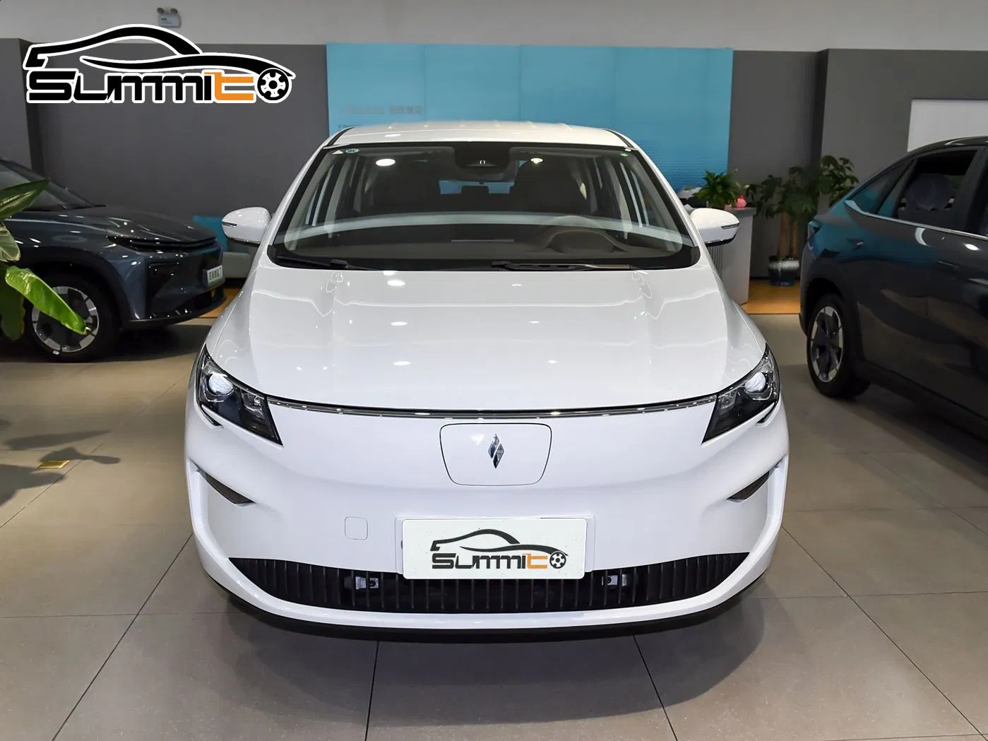 Premium Livan 8 Long Range Business Family Transport Electric MPV Minivan From China