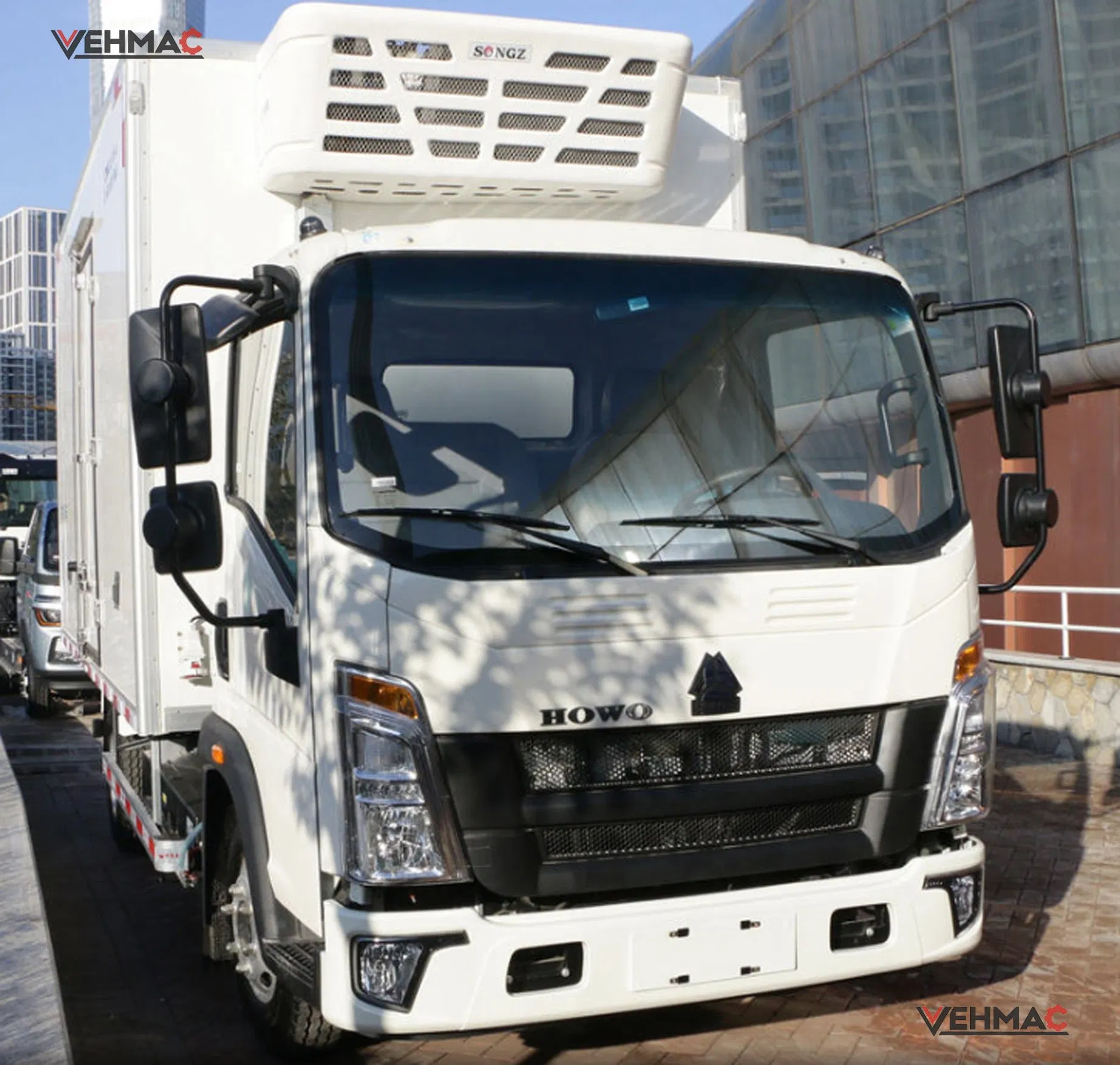 4X2 Sinotruk HOWO Zero Emission Electric Refrigerated Cold Chain Delivery Cargo Van Box Freezer Truck