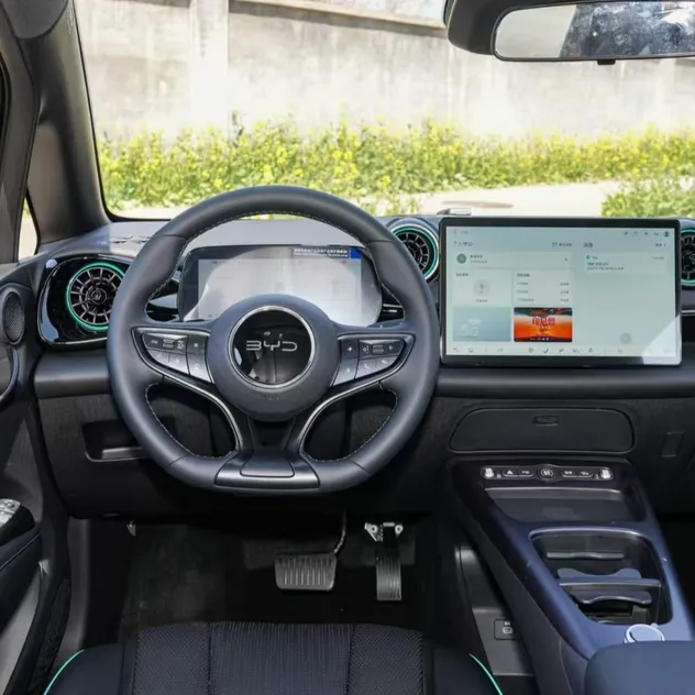 Byd Dolphin Interior 1