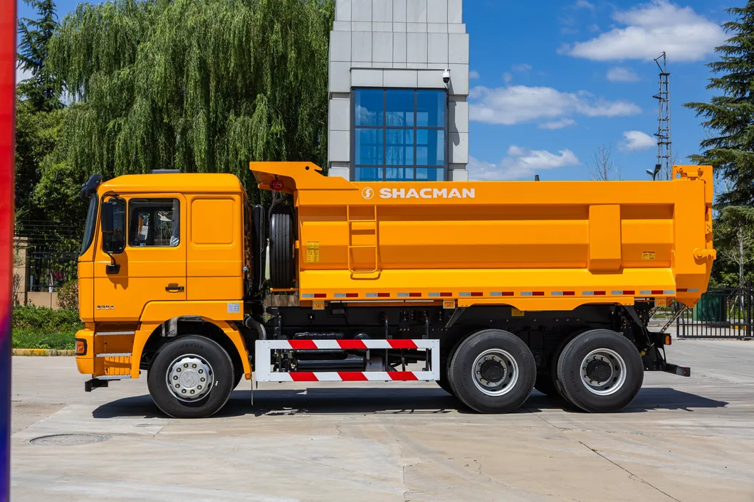 Heavy-Duty Dump Truck Detail 6