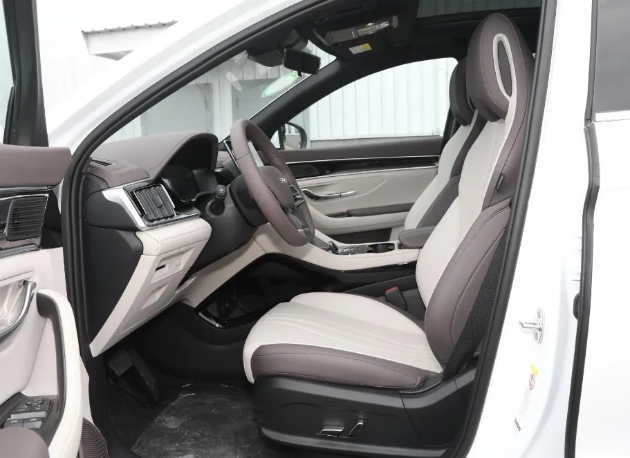 2025 Byd Song Plus Rear View