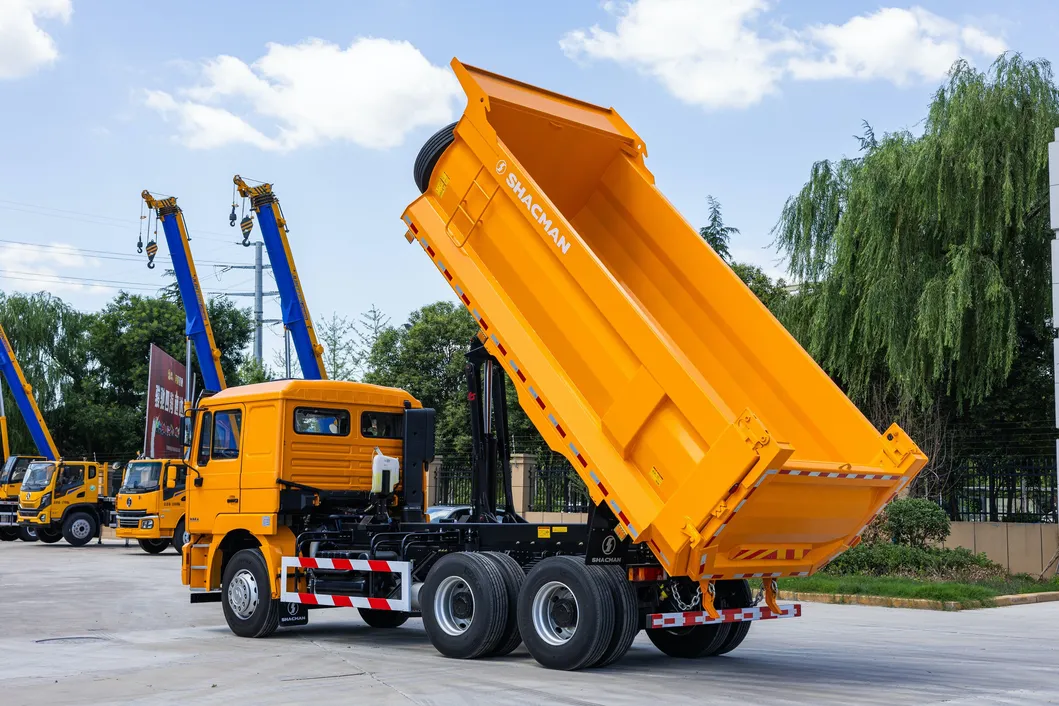 Heavy-Duty Dump Truck Detail 4