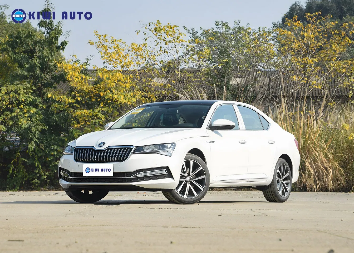 Low Price Skoda Superb Midsize Gasoline Hatchback Fuel Efficiency Family Auto Car for Urban Driving