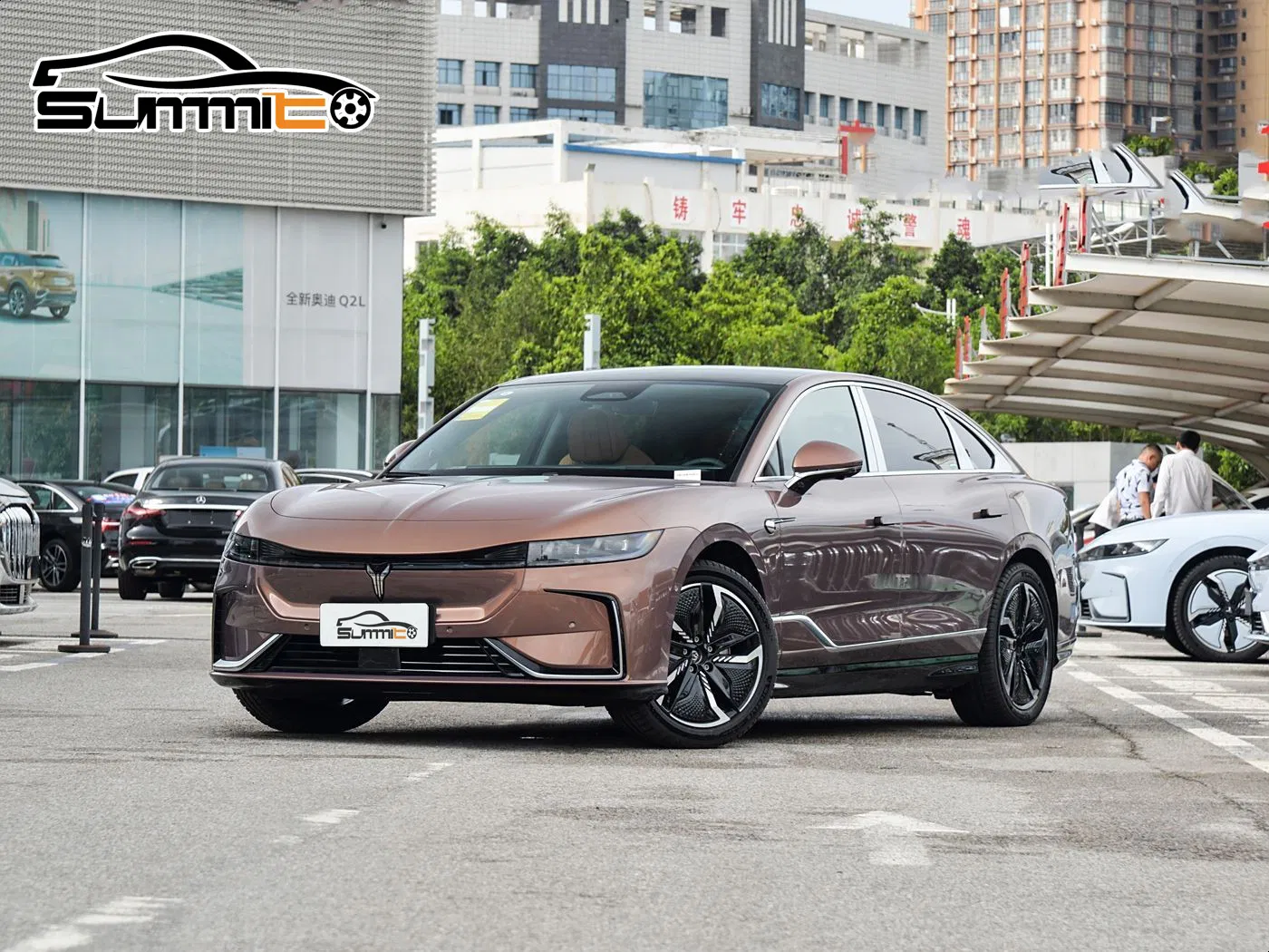 Voyah Passion EV Details