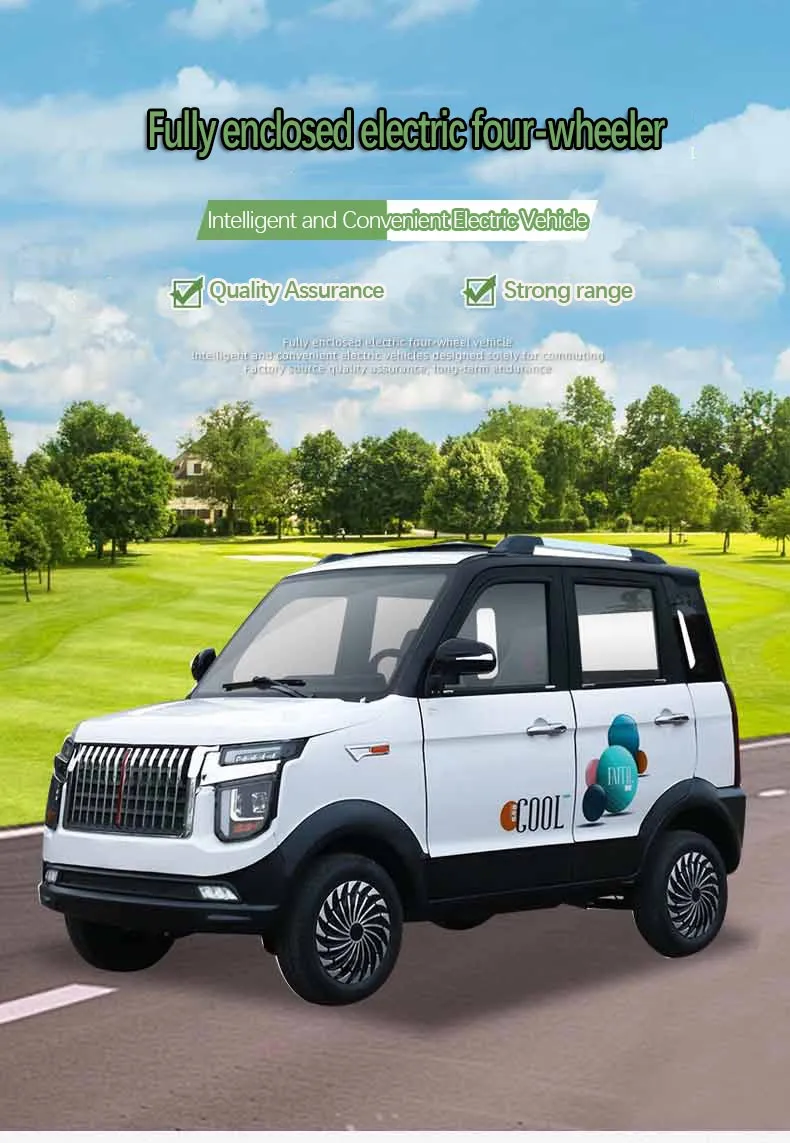 Electric Mini Car Detail 1