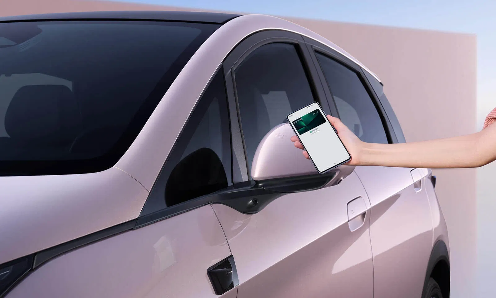 BYD Dolphin Wheel Design