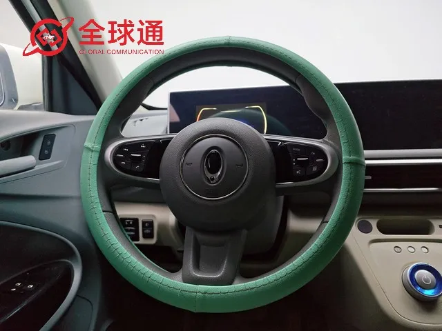 Ora Used Hatchback Door