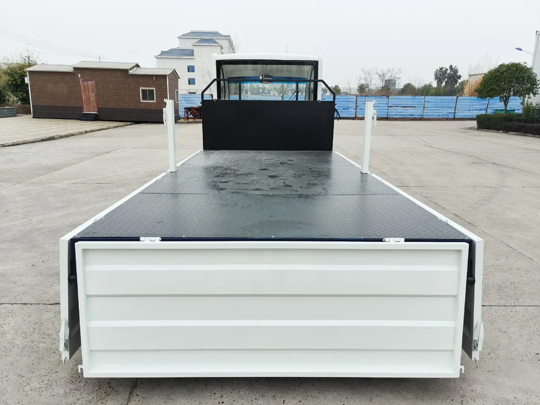 Electric Cargo Truck View 5