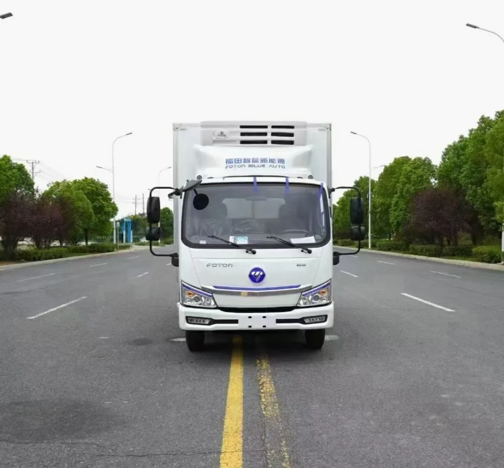 Electric Refrigerated Truck View