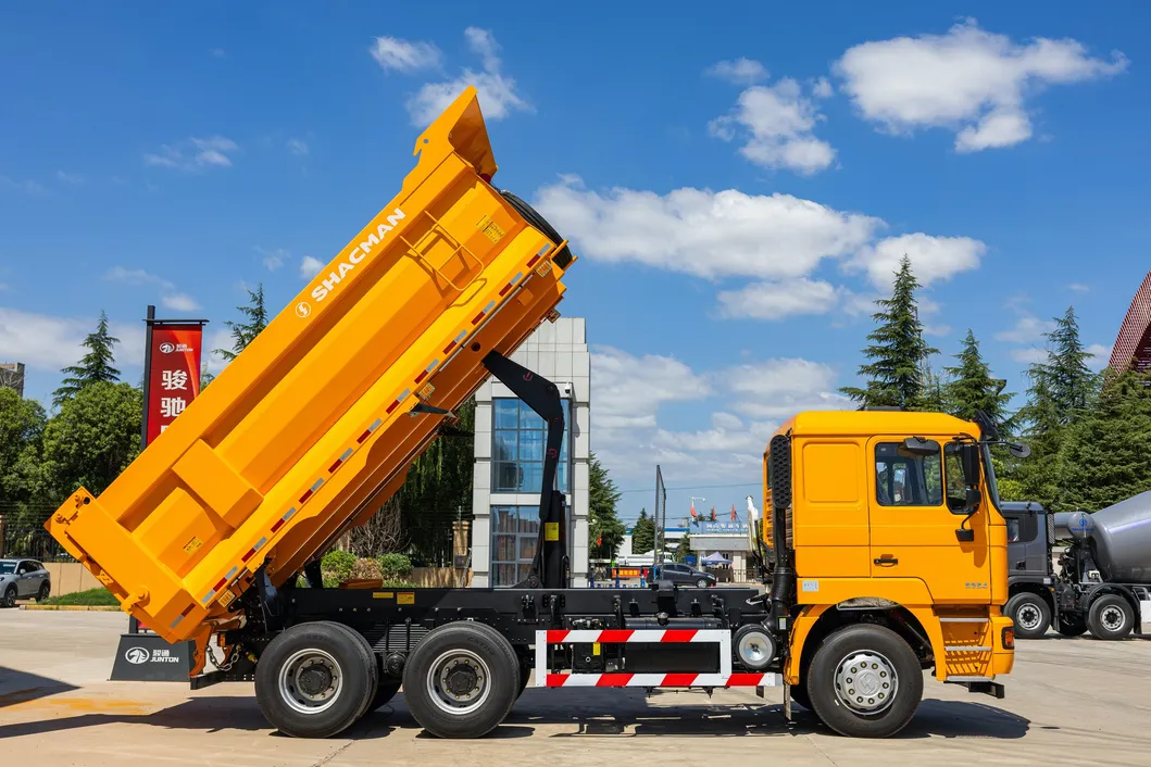 Heavy-Duty Dump Truck Detail 1