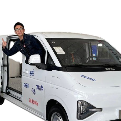 EV Commercial Van Electric Cargo Express Van Dongfeng Ruilida V7