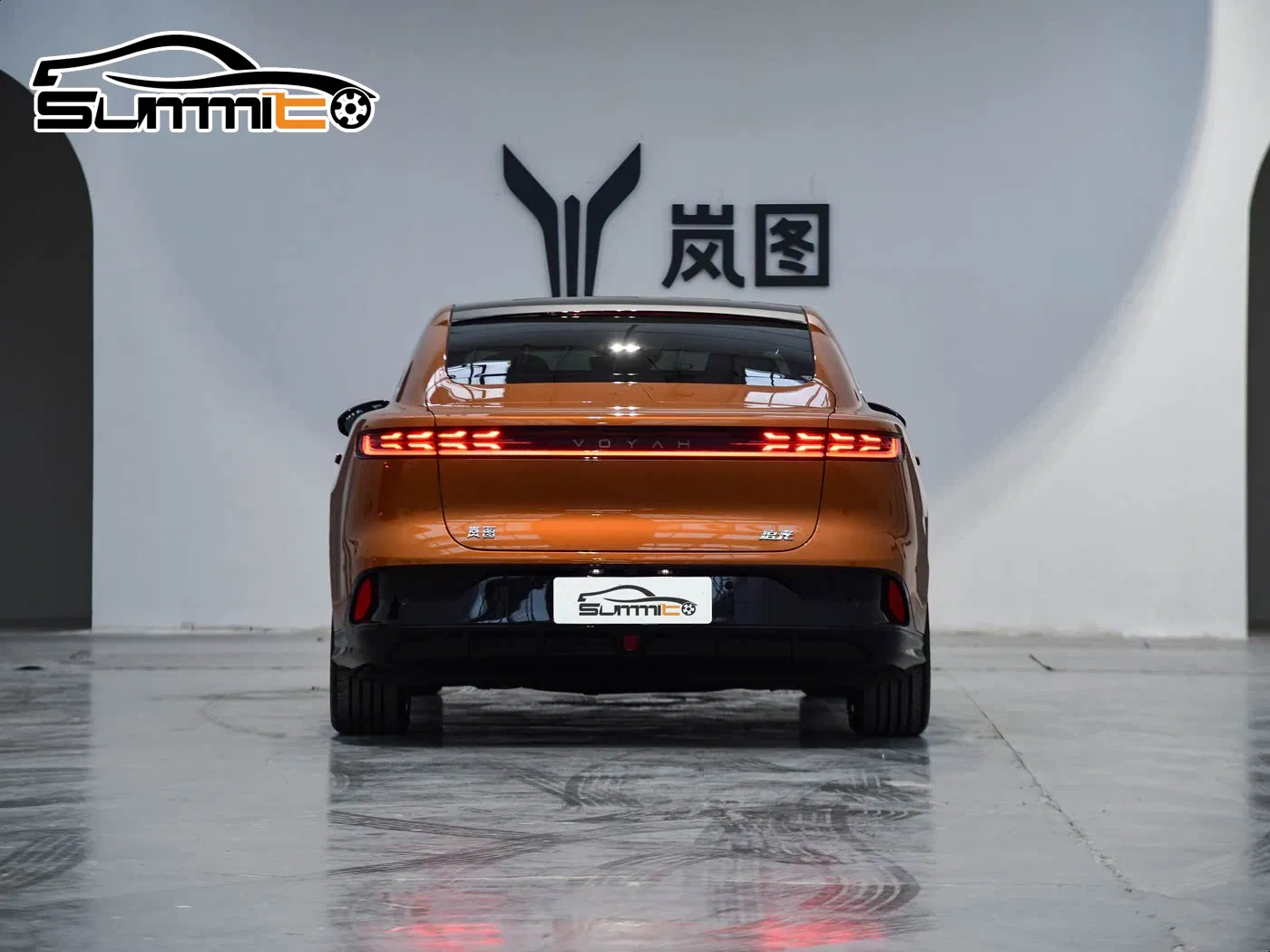 Voyah Passion EV Rear View