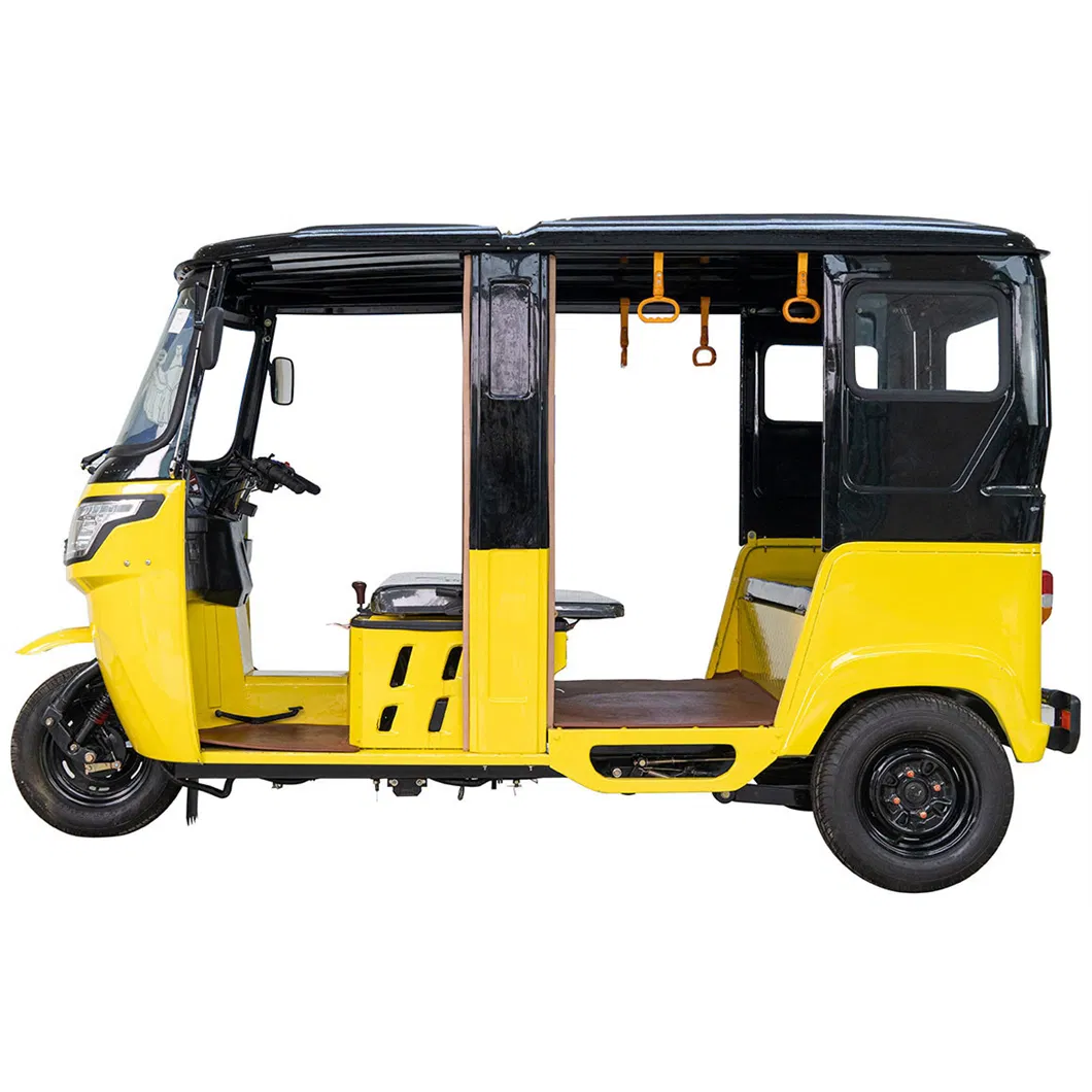 Two-Person Mode Family Minivan Electric Tricycle Motorcycle with Cabin