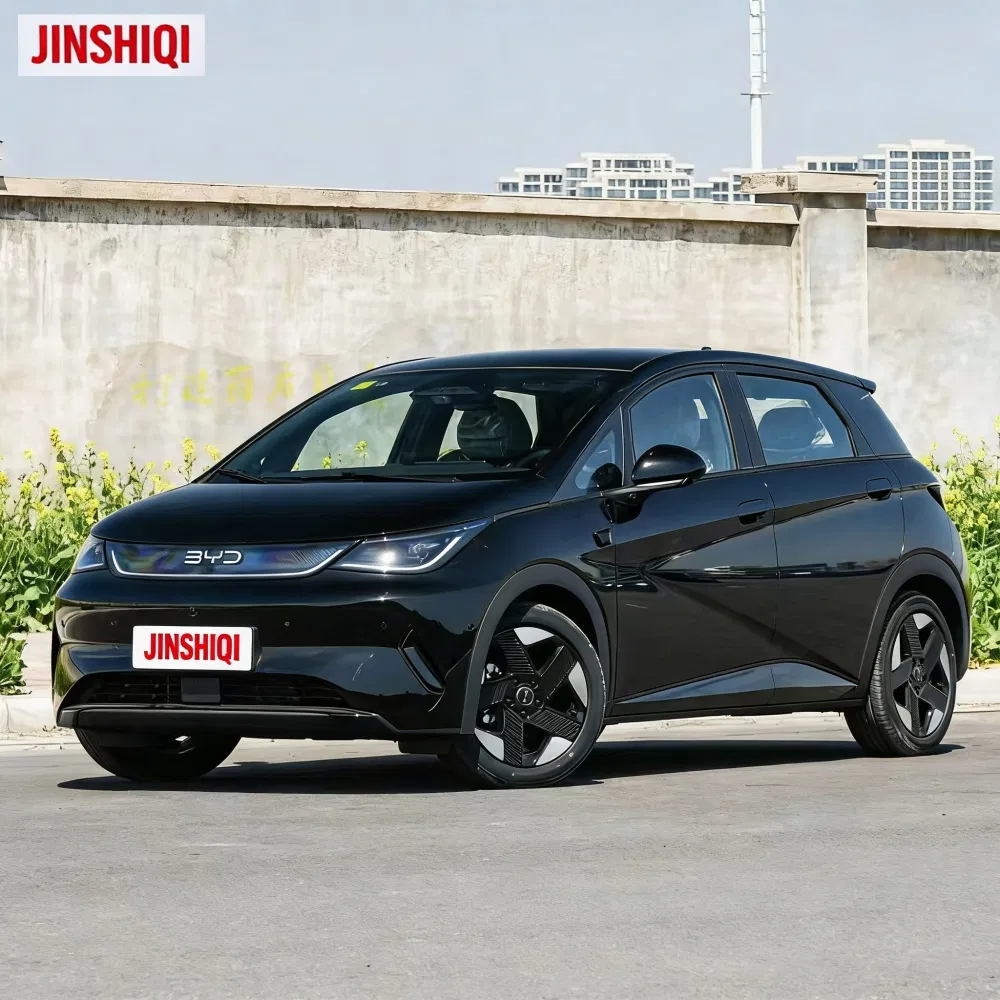 Byd Dolphin Detail 1