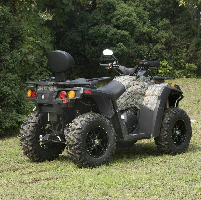 4X4 1000cc 800cc off Road Utility Vehicles