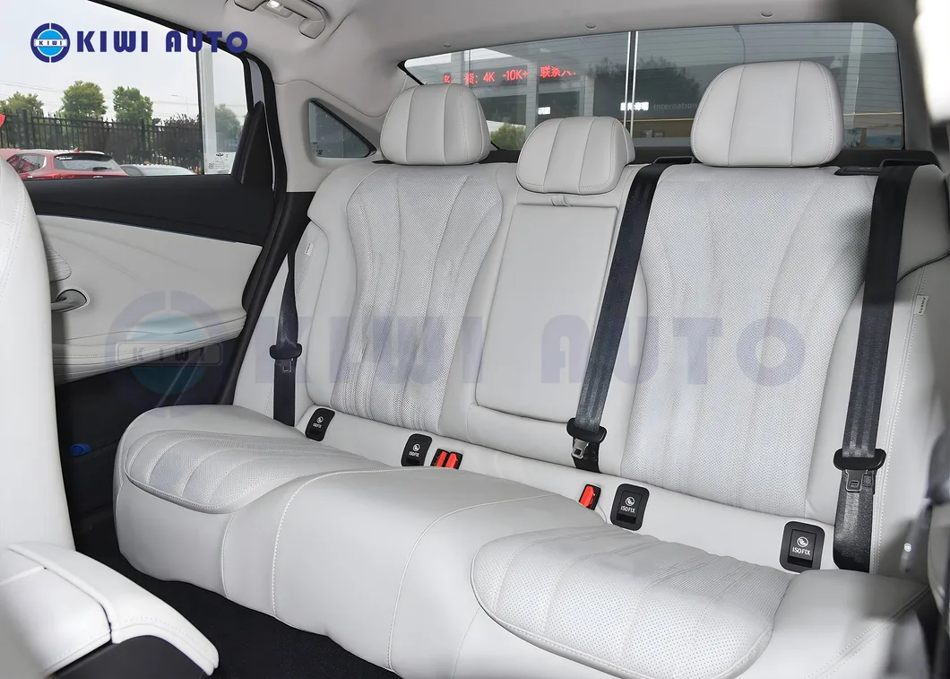 Chery Fulwin A8 Details 2