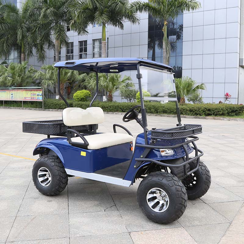 Affordable Electric off-Road 4X4 Utility Vehicle for Sale