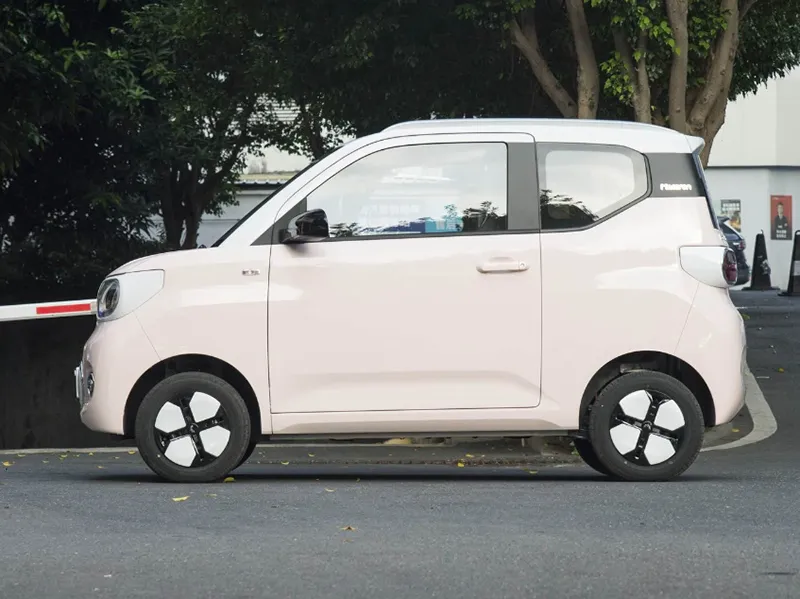 Wuling Miniev Detail