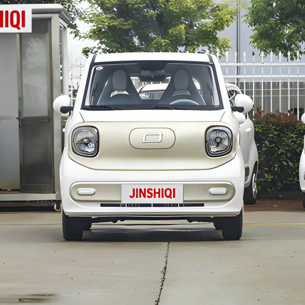 Xiaoma Feature Image 4