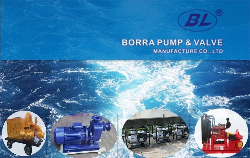 Diesel Engine Centrifugal Pump