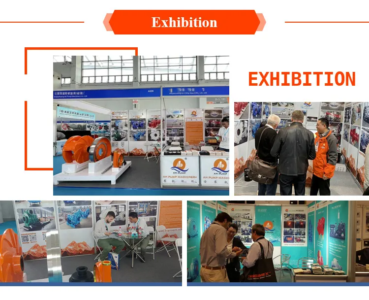Exhibition Presence