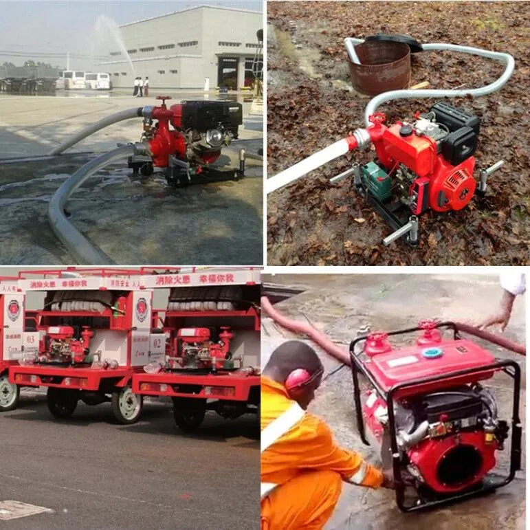 Portable Fire Pump Application