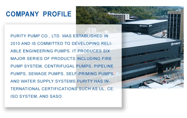 Vertical Multistage Pump Detail