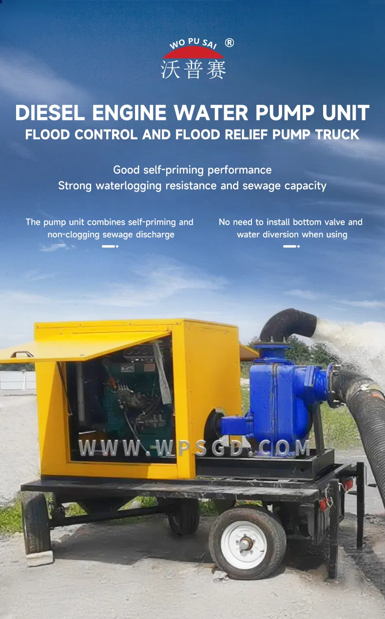 Diesel engine water pump set