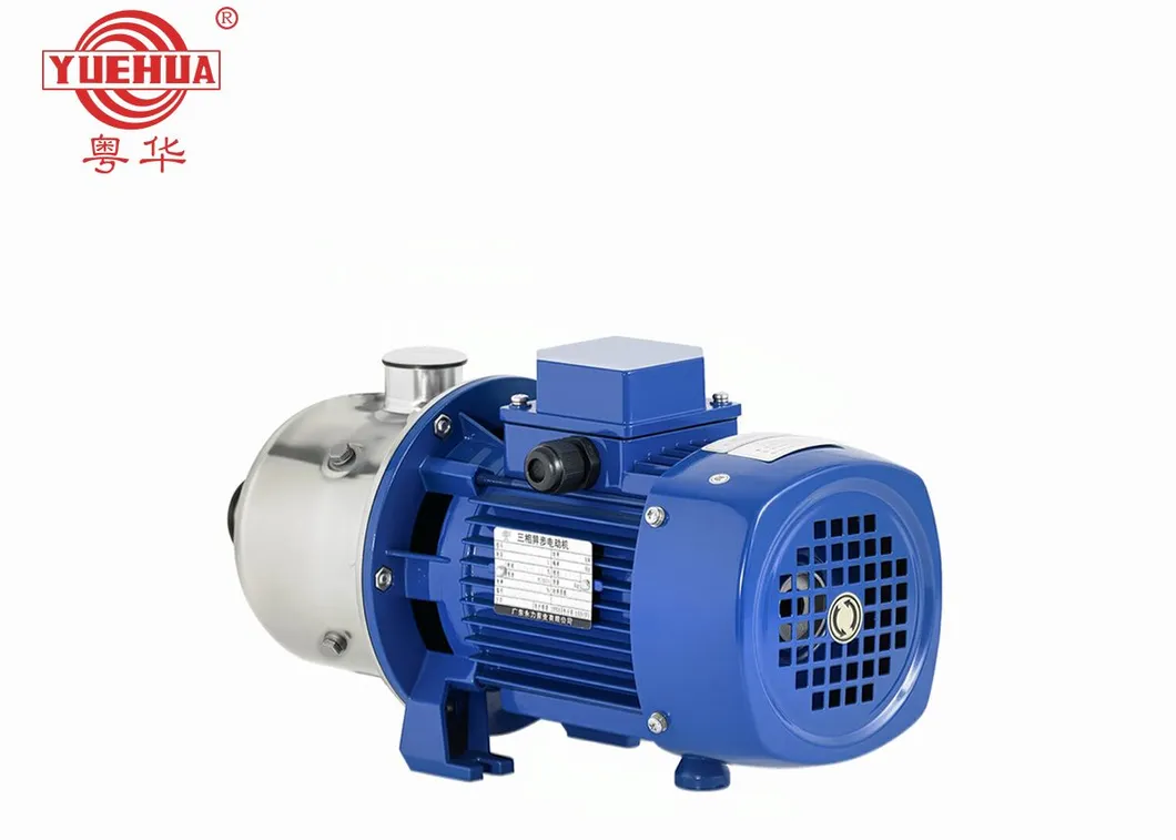 Multistage Centrifugal Pump