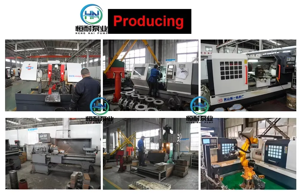 Vertical Multistage Pump 2