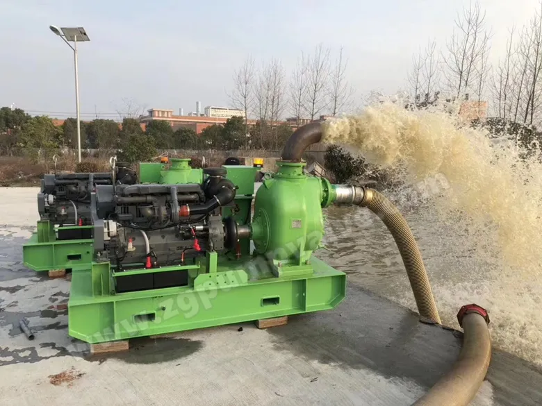 Centrifugal Pump Side View