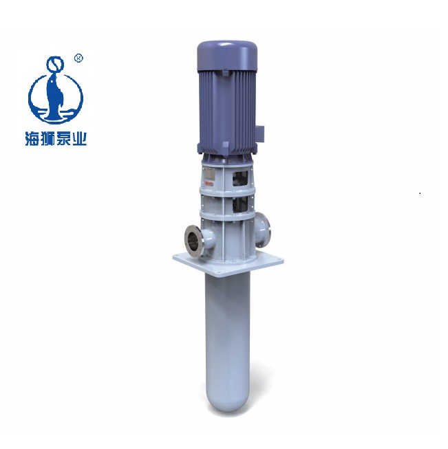 Vertical Closed Haishi Fire Submersible Water Vs5 Turbine Pump with Factory Price