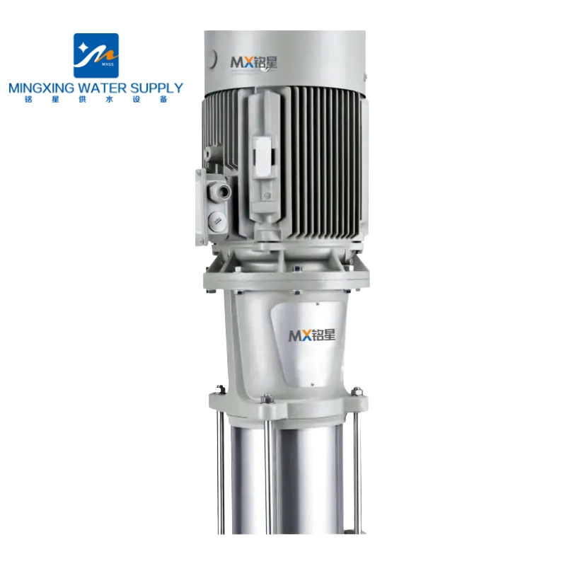 Vertical Multistage Centrifugal Sewage Submersible Water Fire Pump