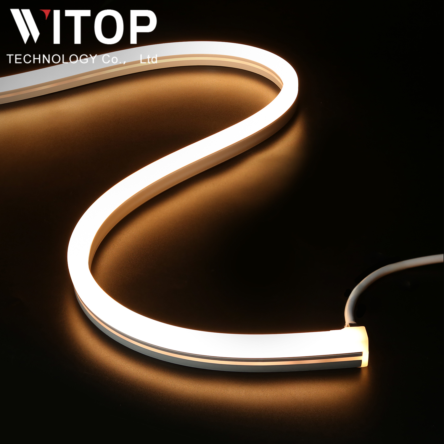 Led Neon Flex 12v 24v Strip Light IP67 Waterproof Swimming Pool Light