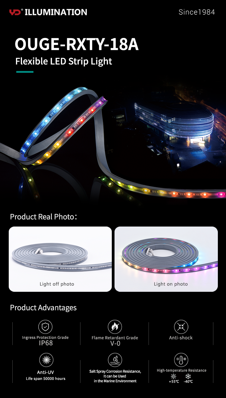IP68 Waterproof Swimming Pool Led Strip Light Low Voltage DC24v Fixed RGB Program