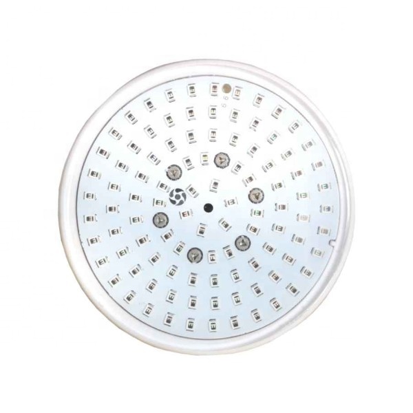 Exquisite Design Image
