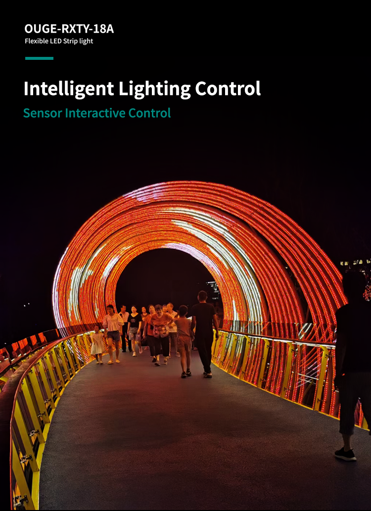 IP68 Waterproof Swimming Pool Led Strip Light Low Voltage DC24v Fixed RGB Program