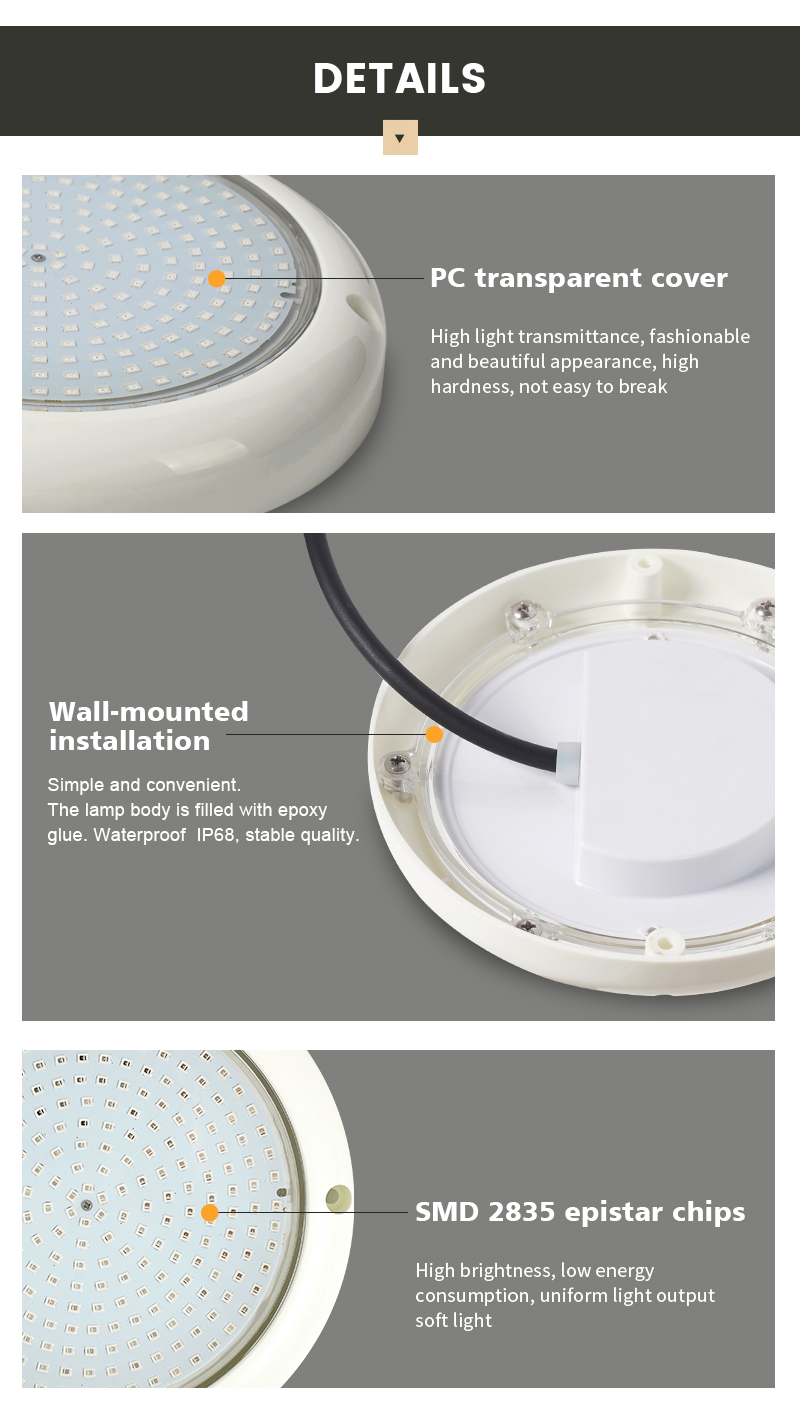 Product Detail 7