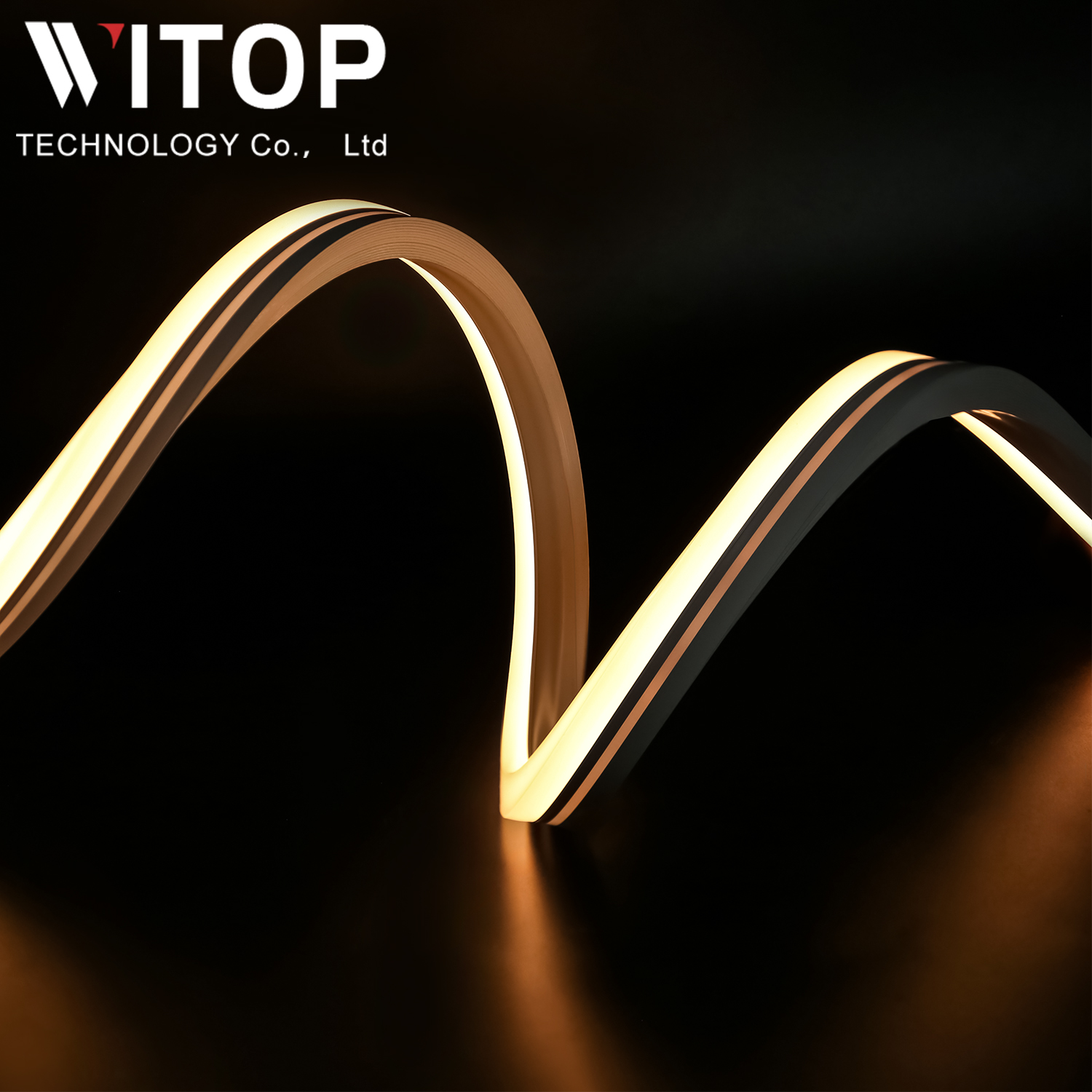 Led Neon Flex 12v 24v Strip Light IP67 Waterproof Swimming Pool Light
