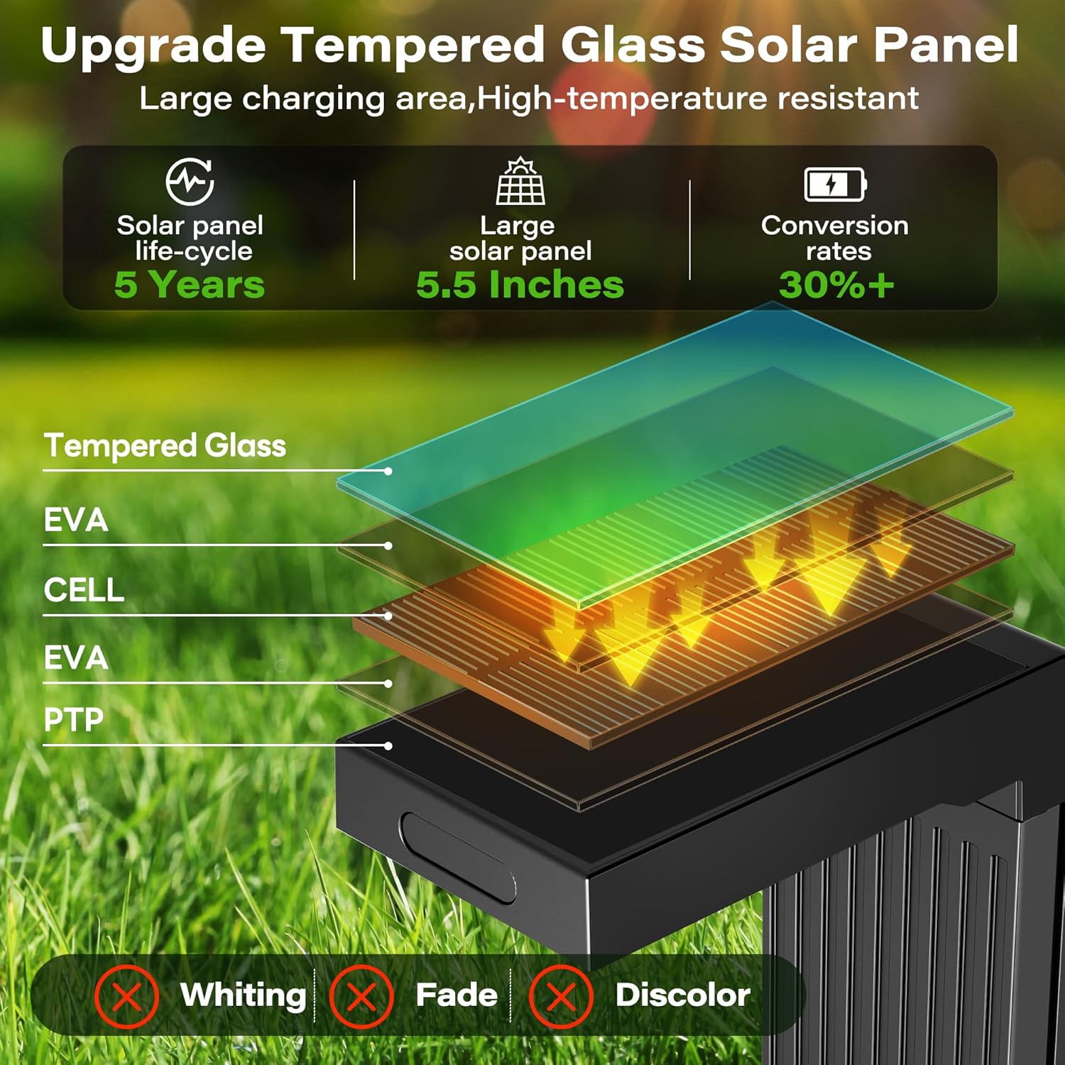 Coxseni Solar Path Lights Size and Dimensions Specs