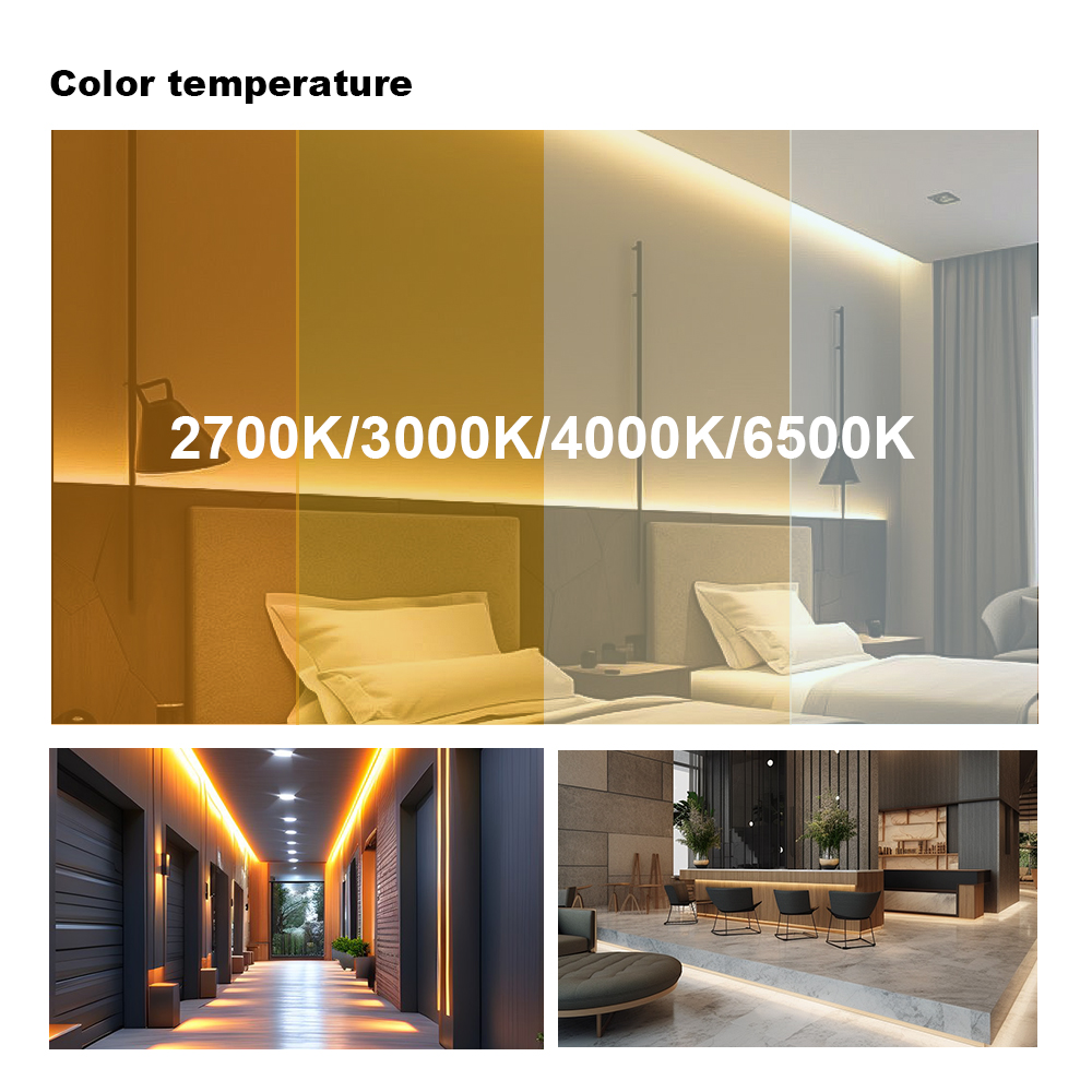 Swimming Pool Underwater 10*10mm IP68 3D Solid Neon LED 24VDC White Color High Transmittance Cuttable