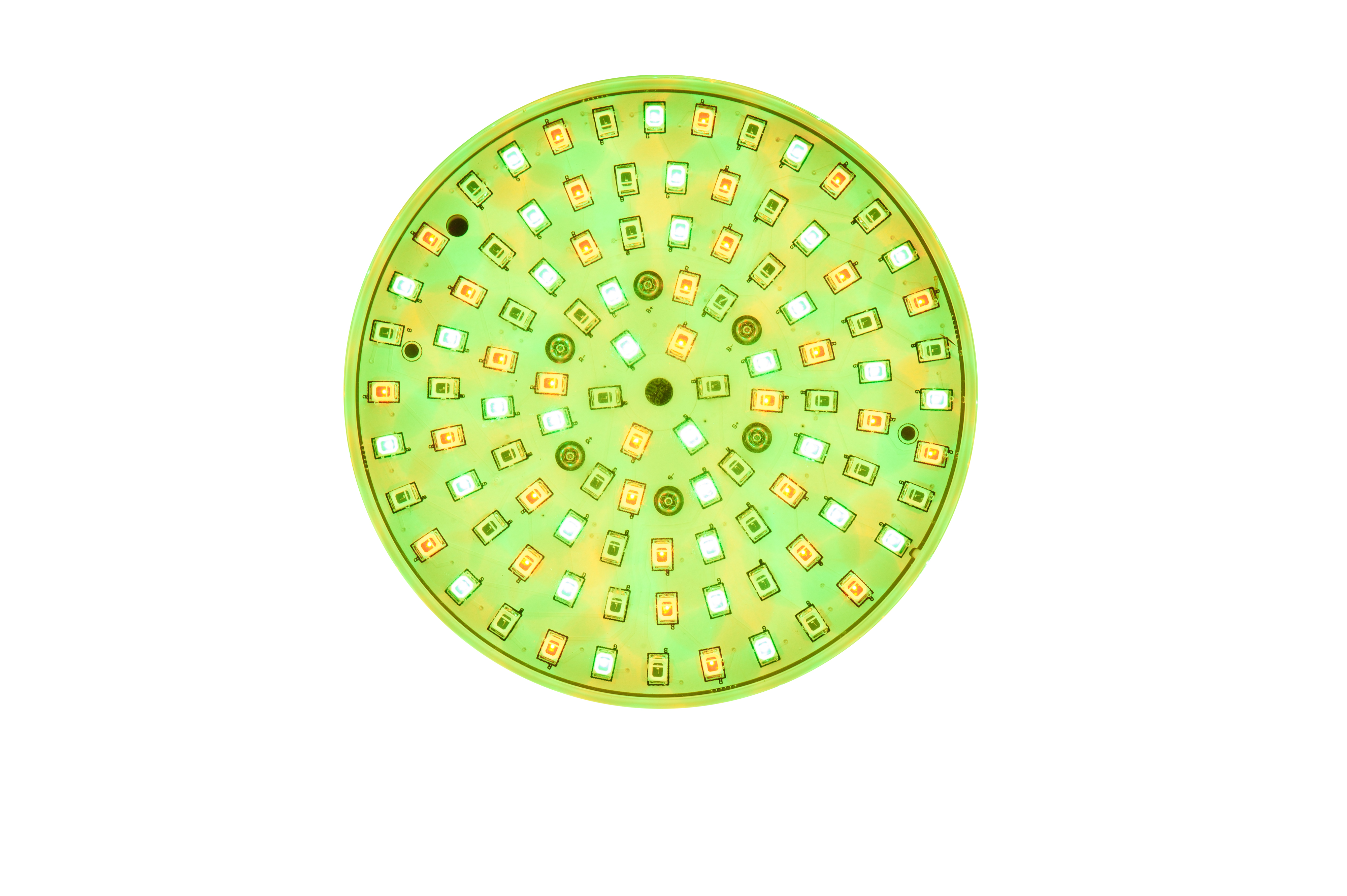 Product Detail 4