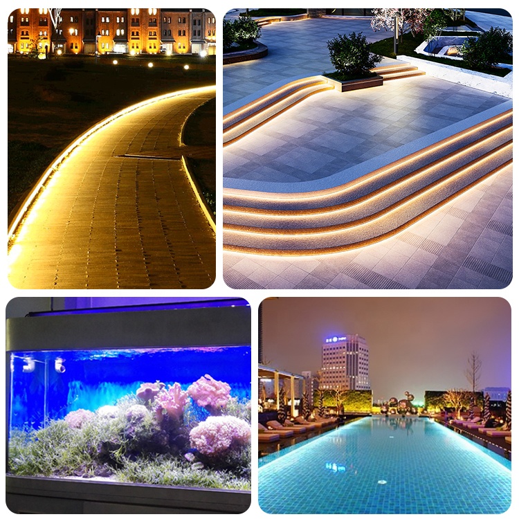 IP68 Waterproof Underwater LED Strip Light For Swimming Pool Smart Neon Beds Decoration Rope ABS Lamp Body For Landscape