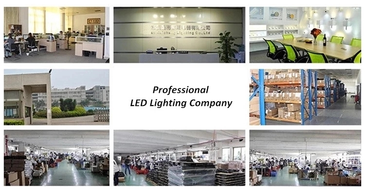 Company Showcase