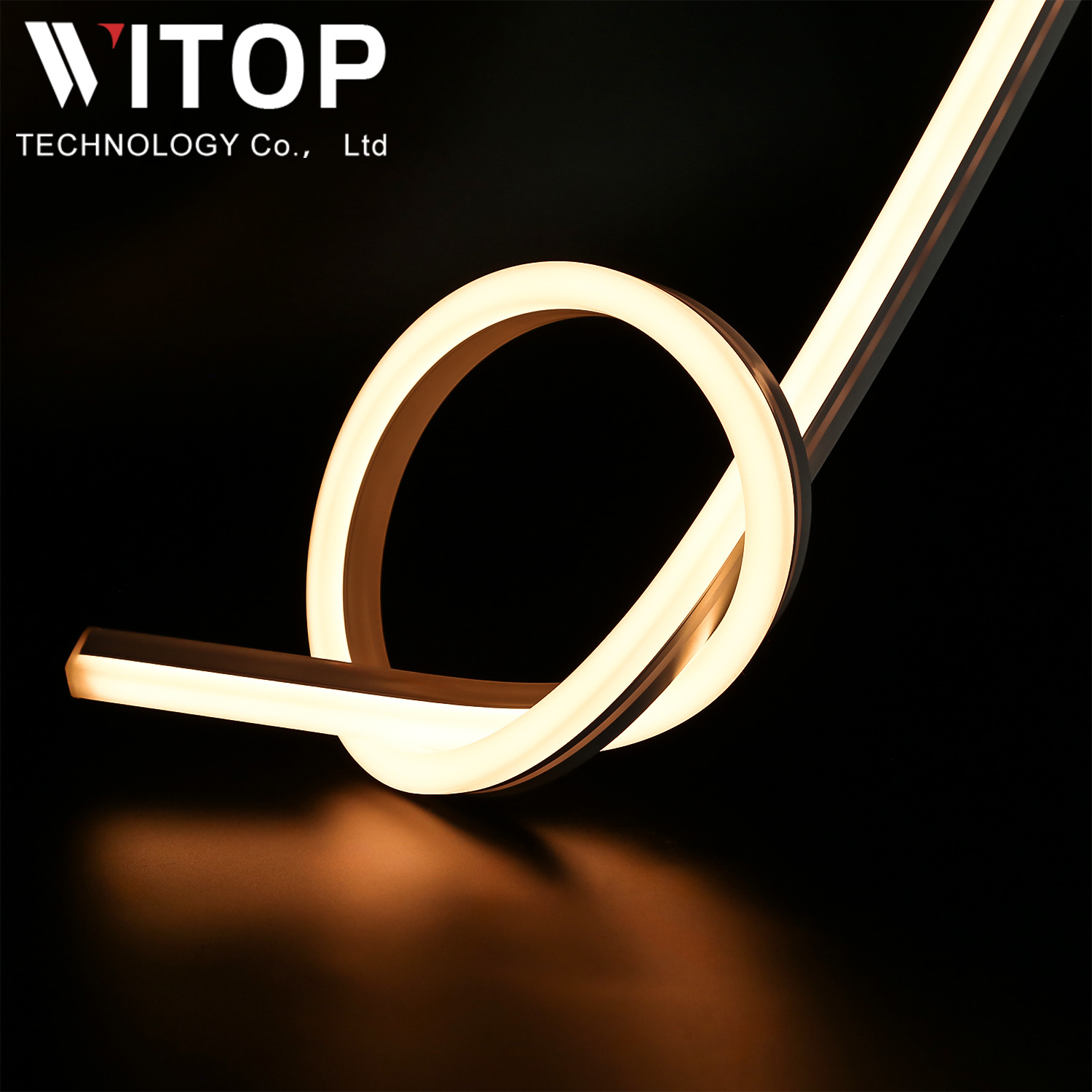 Led Neon Flex 12v 24v Strip Light IP67 Waterproof Swimming Pool Light
