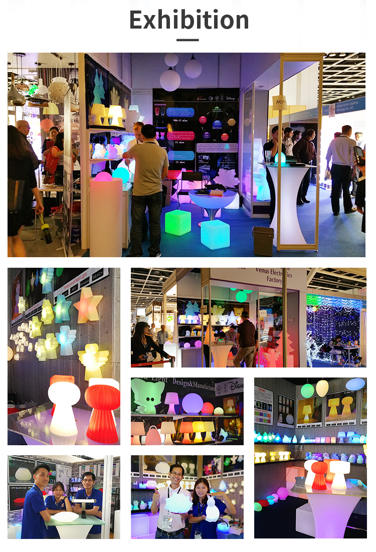Exhibition Photo 2